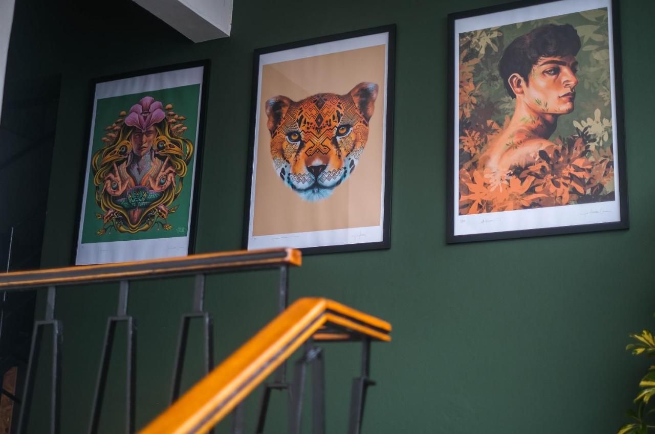 Black Llama Hostel Miraflores Lima Eksteriør billede