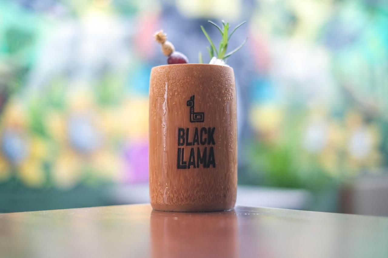 Black Llama Hostel Miraflores Lima Eksteriør billede