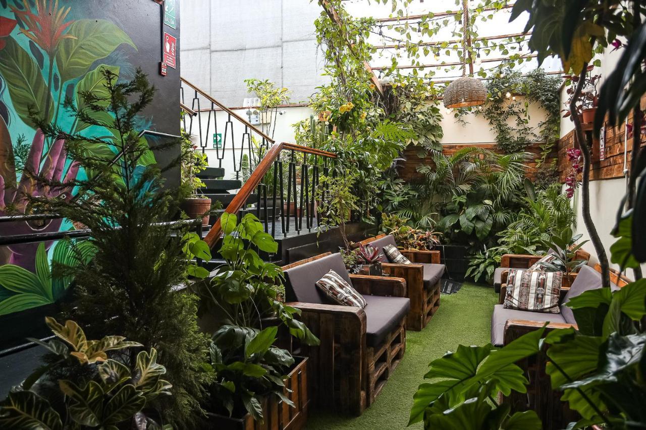 Black Llama Hostel Miraflores Lima Eksteriør billede